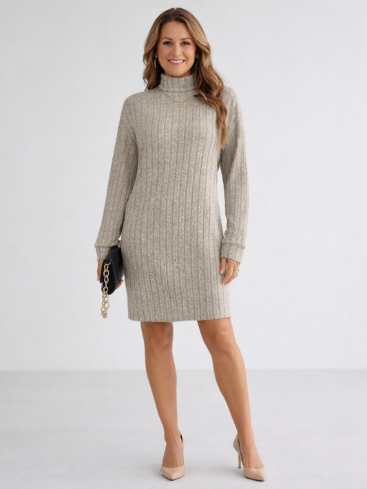 Women's Ribbed Knit Turtleneck Mini Jumper Dress
