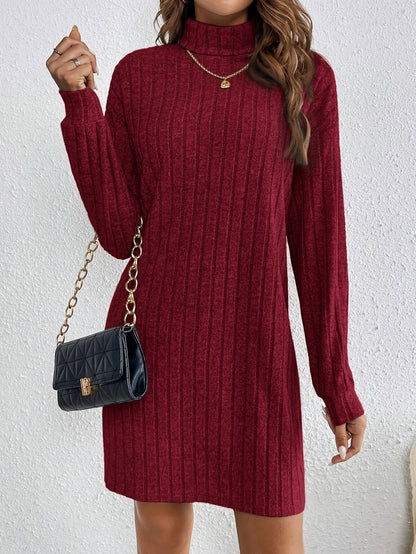 Women's Ribbed Roll Neck Jumper Dress with Stretch Knit