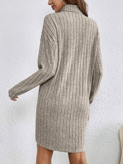 Women's Ribbed Roll Neck Jumper Dress with Stretch Knit